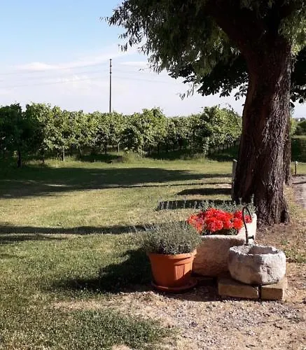 Vitae Çiftlik konaklama Fabbrico