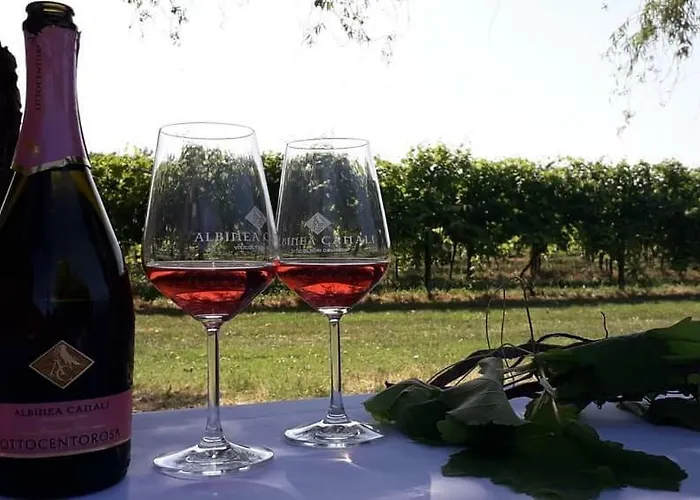 Çiftlik konaklama Vitae Fabbrico