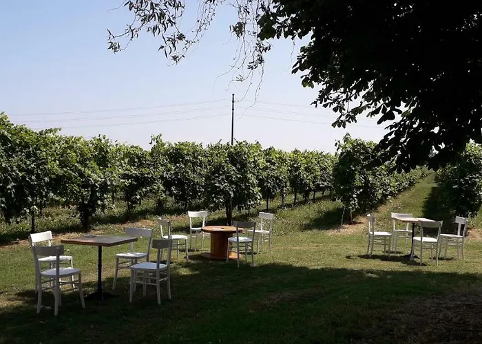 Çiftlik konaklama Vitae *