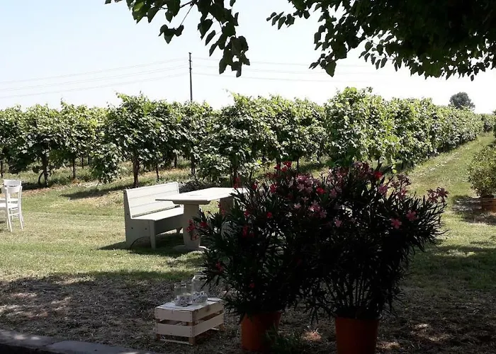 Vitae Çiftlik konaklama Fabbrico